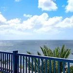 Malvasia 22